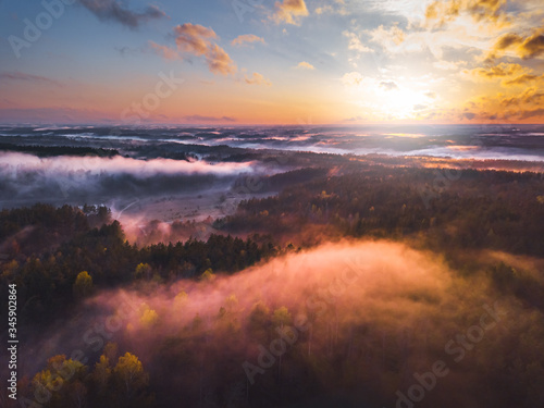Fog and mist covering the forest in Lithuania © lukjonis