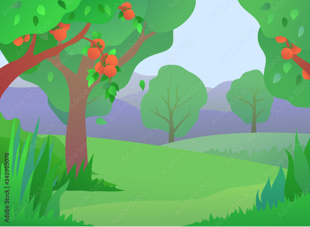 Fototapeta premium Persimmons orchard in flat style. Ripe persimmons on trees in summer garden. Organic farming and fruits harvesting, local food growing vector illustration. Countryside landscape with fruit trees.