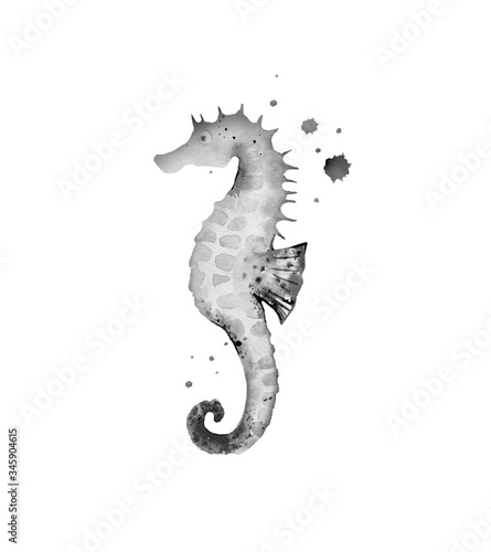 Starfish. Sea creature. Ocean life. Watercolour illustration isolated on white background.