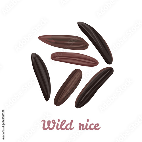 Wild rice isolated on a white background. Vector illustration of black wild rice grains in cartoon flat style. Food icon.