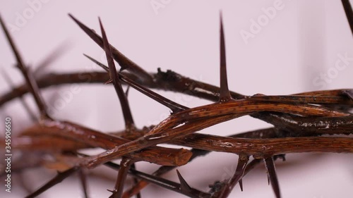Close Up of Crown of Thorns Rotating