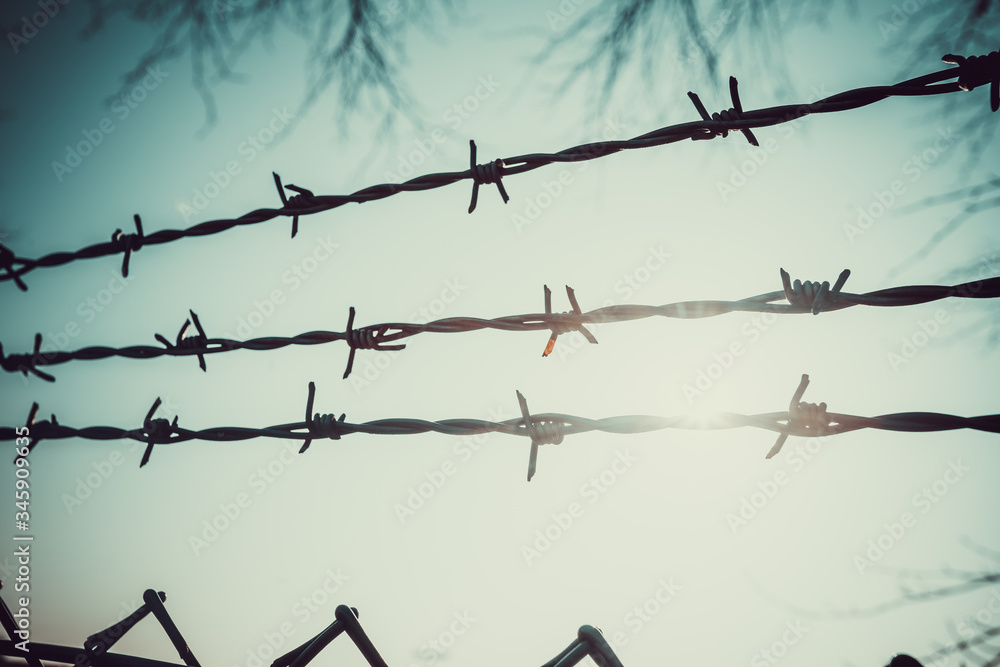 Background of barbed wire against the sky. Background of barbed wire against the sky.