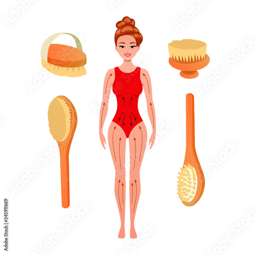 beautiful woman with directions of massage strokes. dry brushing, scrubbing skin with natural wooden Brush to stimulate blood circulation. Anti Cellulite procedure Vector Illustration. Isolated 