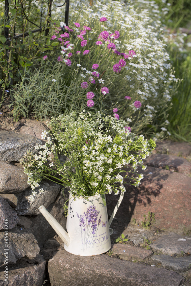 Cow Parsley In Vase With French Word For Lavender Cow Parsley In Vase With French Word For Lavender