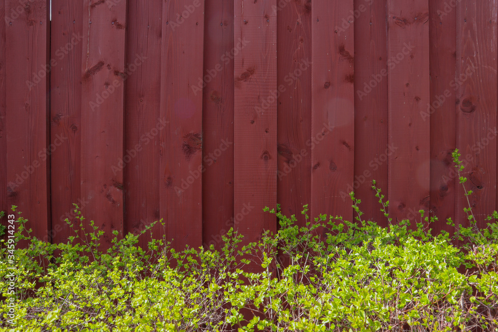 wooden fence and green grass wooden fence and green grass