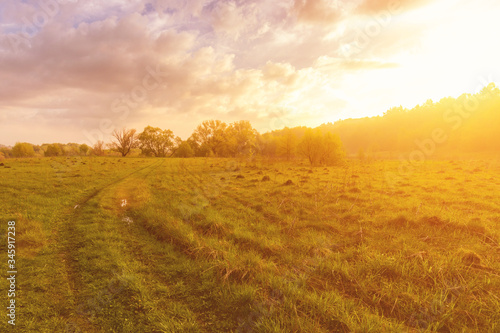 Sunset or dawn in a field with green grass, footpath and willows in the background. Early summer or spring. Landscape after rain with a light haze. photo