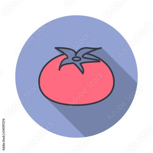 a tomato long shadow icon. Simple color vector of web icons for ui and ux, website or mobile application