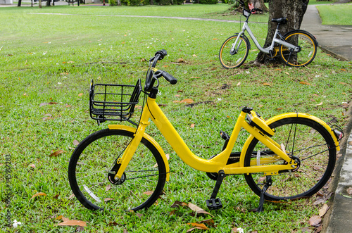 yellow bike standing on the grass and another standing near a tree