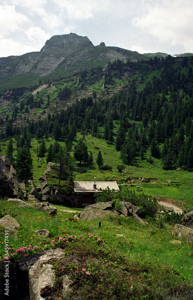 Obraz premium mountain village in the mountains