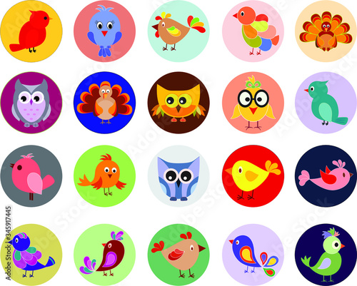 Isolated Bird Vector Illustrations on Color Backgrounds