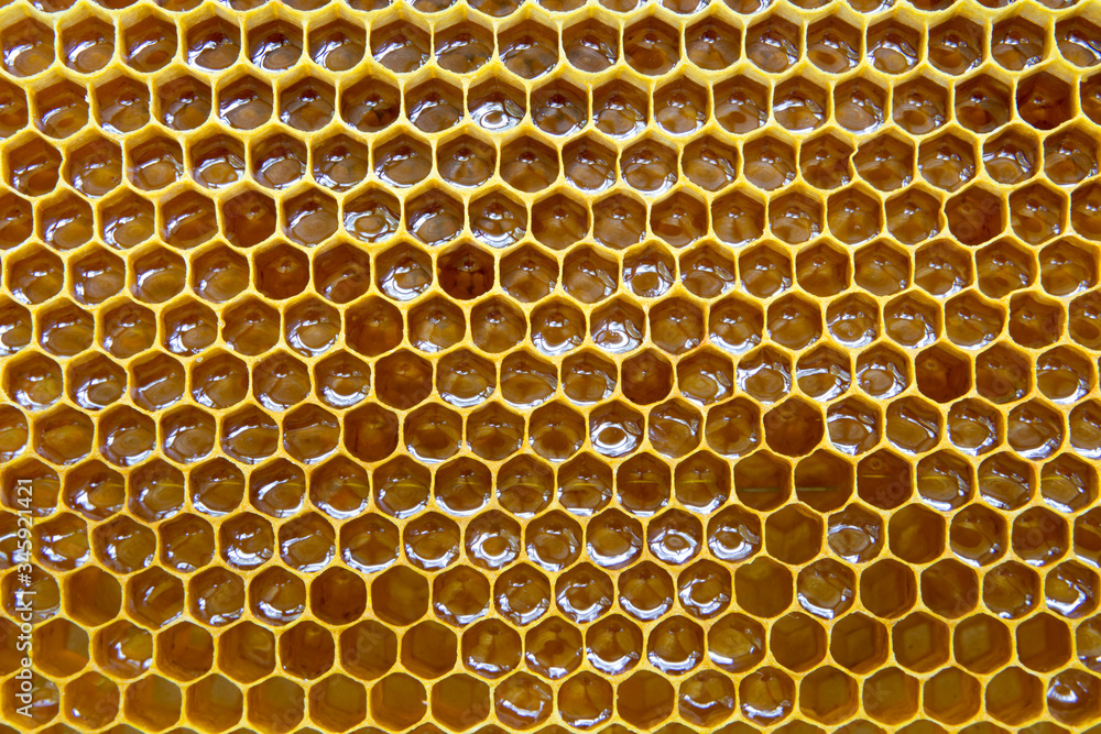 Beehive honey bee cells honeycomb macro texture. Beehive honey bee cells honeycomb macro texture.