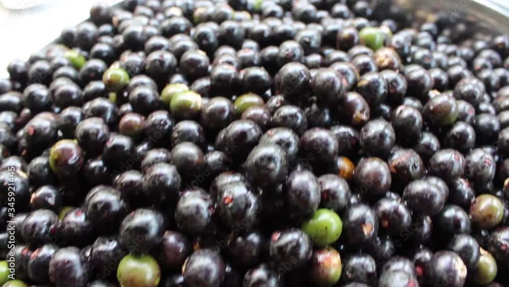 Close up of fresh harvested acai fruit. Super Amazonian rainforest fruit from Brazil. Nutritious natural food for vegans and vegetarians. Healthy organic fruit harvest. Close up of fresh harvested acai fruit. Super Amazonian rainforest fruit from Brazil. Nutritious natural food for vegans and vegetarians. Healthy organic fruit harvest.