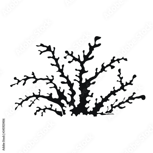  Vector sea coral isolated on white background. Outline vector illustration in doodle style.
