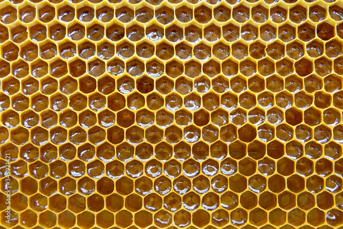 Beehive honey bee cells honeycomb macro texture.