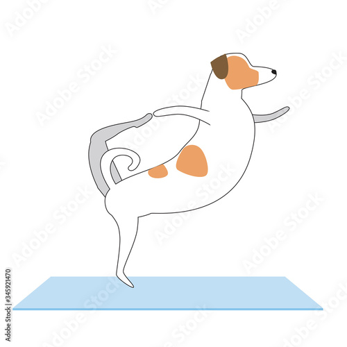 Cartoon character Jack Russell Terrier doing yoga on a mat, flat or outline vector stock illustration with a dog performing asana isolated on white background