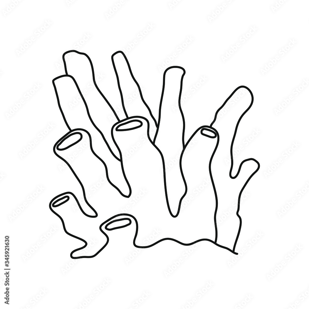 Vector sea coral isolated on white background. Outline vector illustration in doodle style. Vector sea coral isolated on white background. Outline vector illustration in doodle style.