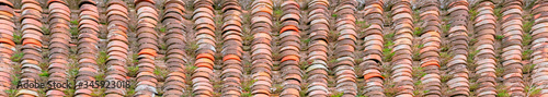 red ceramic tiles with green plants as a natural background. © Oleg1824f