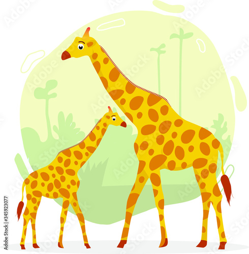 Giraffe. Vector illustration. Zoo art