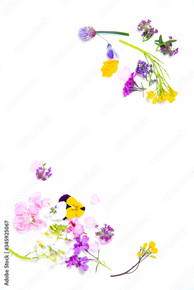 Edible flowers on the white background