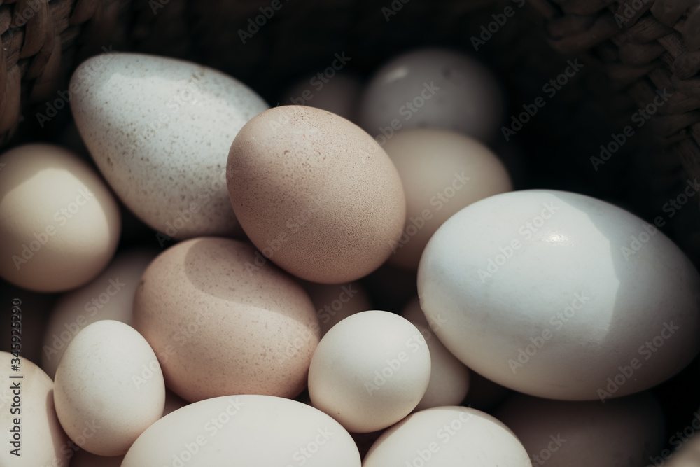 eggs in a box. different eggs eggs in a box. different eggs