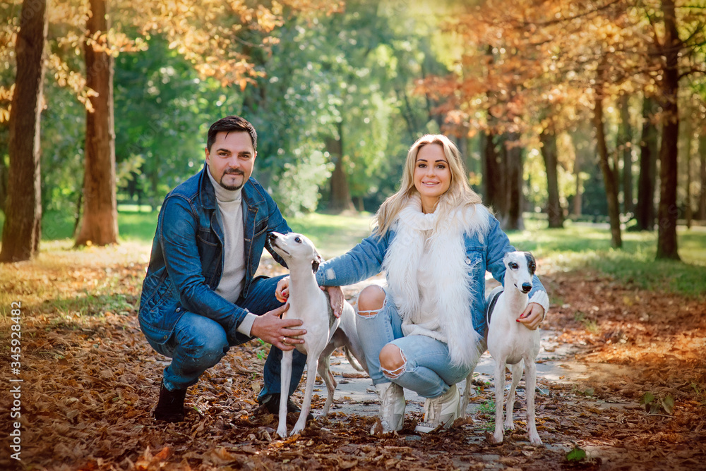 beautiful lovely couple (woman and man) in jeans clothes walking with whippets dogs outdoor in autumn (fall). Friendship, family and healthy lifestyle concept