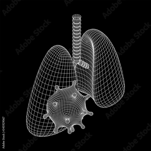 Corona Virus and Lungs with trachea bronchi internal organ human. Covid virus pulmonology medicine science concept. Wireframe low poly mesh vector illustration.