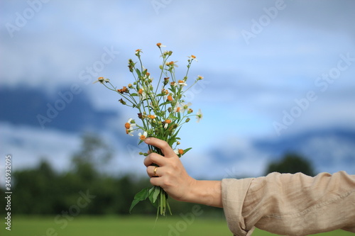 hand holding a plant