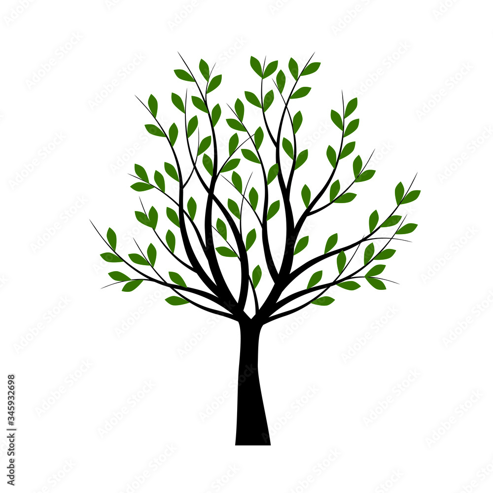 Fototapeta premium Green Tree. Spring Tree in Garden. Vector Illustration.