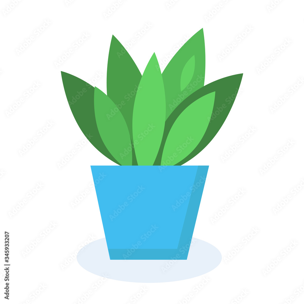 Houseplant with green leaves in the vivid blue pot. Flat colorful icon on the white background. Eco object for poster, banners, flyers, covers, scrapbook. Vector illustration Houseplant with green leaves in the vivid blue pot. Flat colorful icon on the white background. Eco object for poster, banners, flyers, covers, scrapbook. Vector illustration