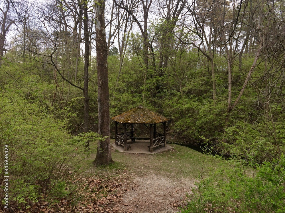 wooden gazebo in the forest