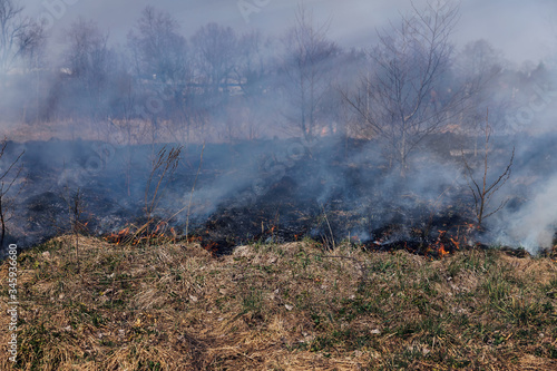 Fire burns grass on the field near the forest