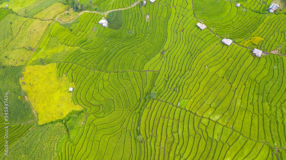 Aerial view of the green terraced rice fields landscape different ...