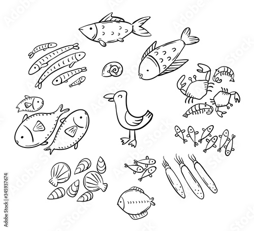 Set of cartoon doodle seafood or ocean animals like fish  shrimps and squids