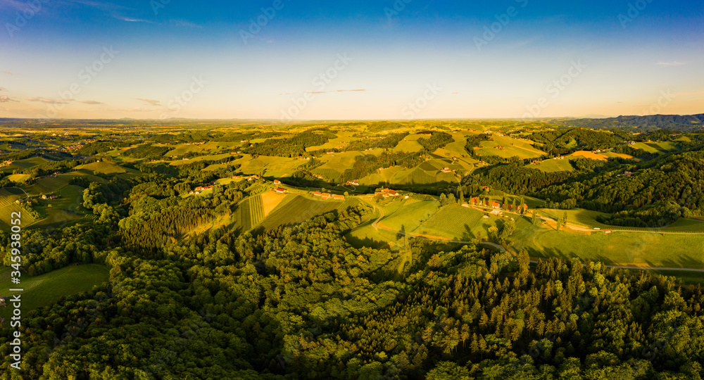 Gorgeous sunset over beautiful green vineyards. Aerial panorama sunset over Austrian grape hills in spring.