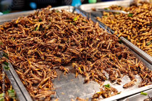 Fried Insect street food of Thailand