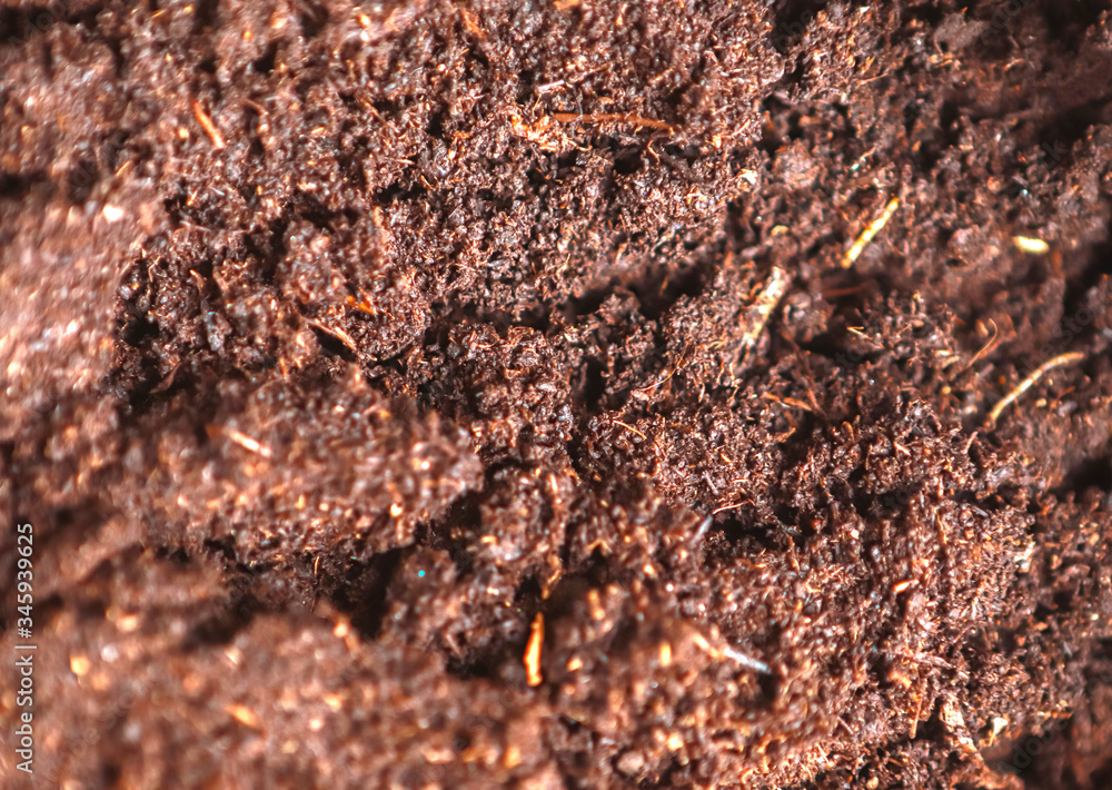 Soil texture.Humus. Celective focus, close up