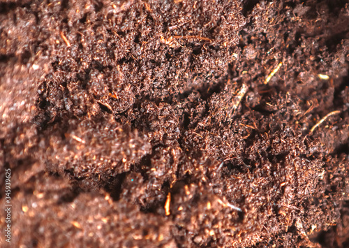 Soil texture.Humus. Celective focus  close up