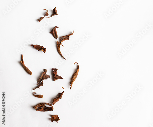 Dry brown leaves on the white background photo