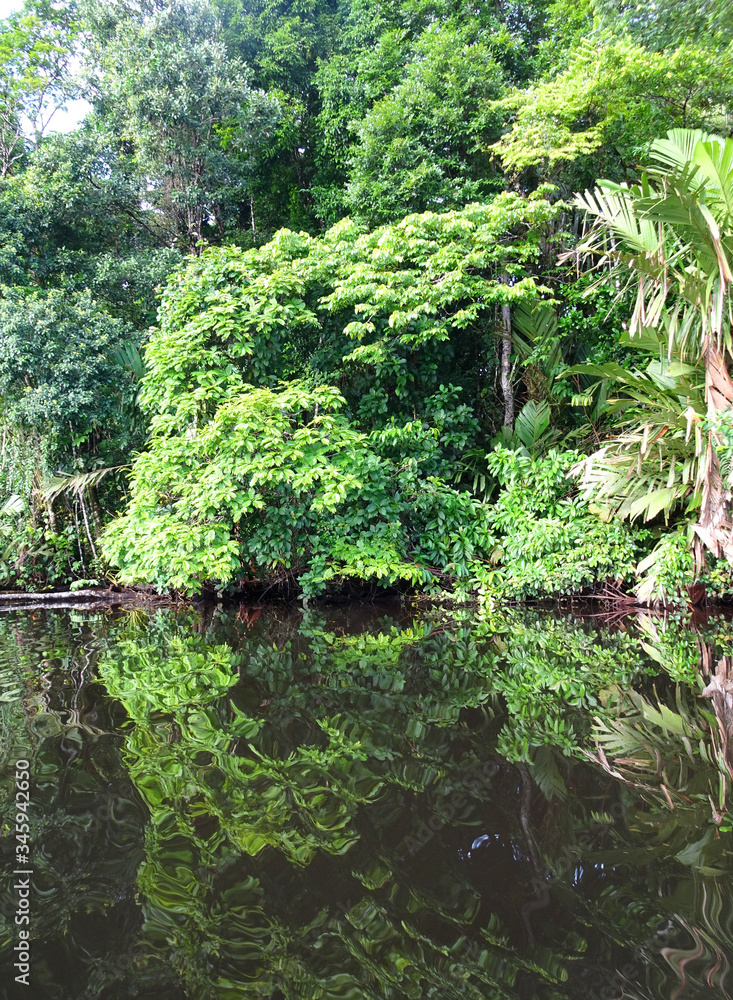 Obraz premium 鏡のような風景（コスタリカ）