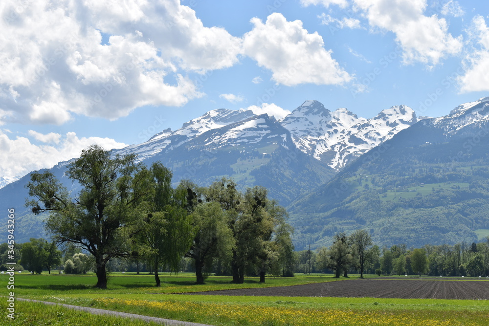 Obraz premium Naturfotografie