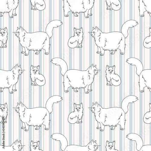 Cute cartoon monochrome lineart Ragdoll pet cat and kitten seamless vector pattern. Pedigree kitty breed domestic kitten background. Cat lover purebred all over print. Feline EPS 10.