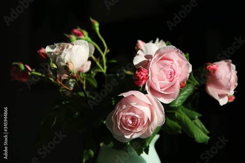 Romantiche rose in vaso appena colte, dettagli