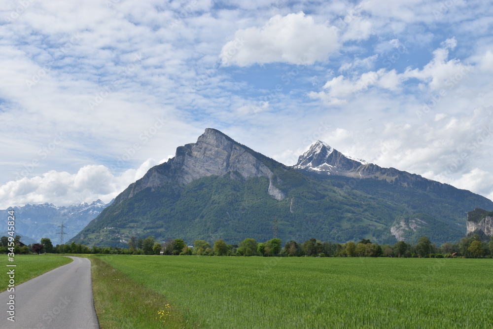 Fototapeta premium Naturfotografie
