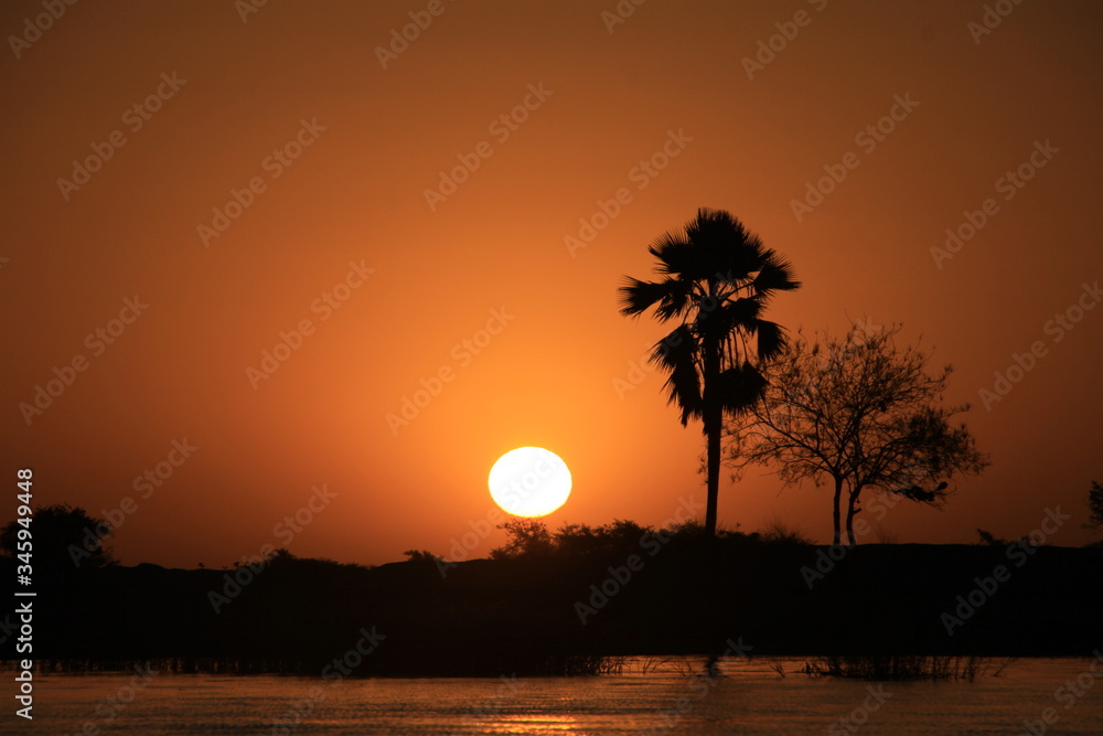 Malowniczy zachód słońca na spokojnej rzece Niger w afryce z konturami drzew w tle - obrazy, fototapety, plakaty 