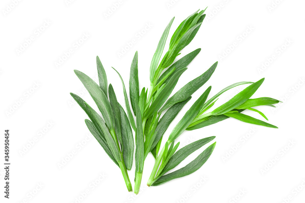 Obraz premium Tarragon leaves isolated on white background. Artemisia dracunculus. top view