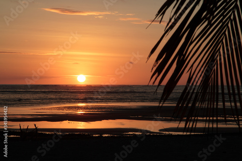 Sonnenuntergang am Strand mit Palme  © Marielle