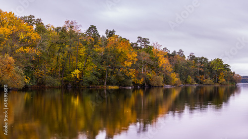 Autumn  lanscape.