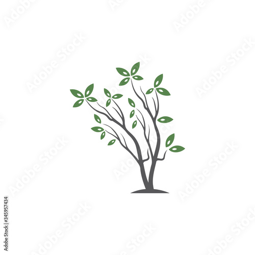 Tree Vector ,hand drawn,  illustration of  Olive tree vector design template
