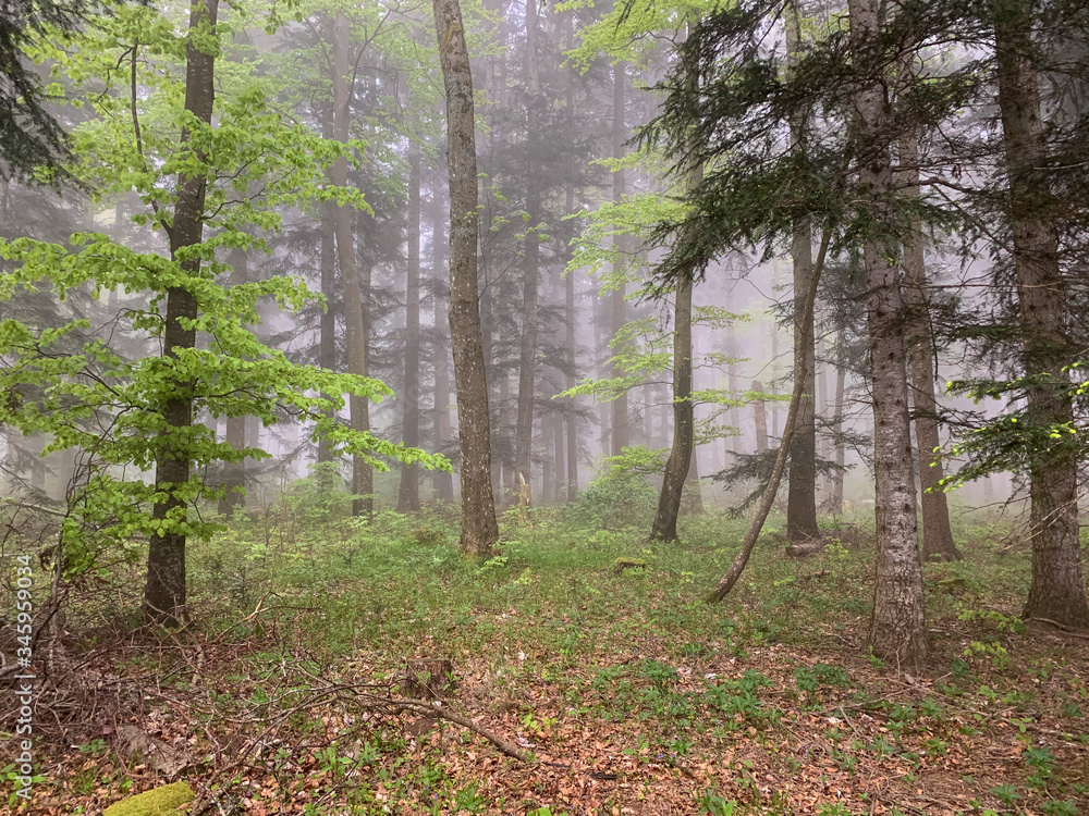 Lemberg in Baden-Württemberg bei Nebel Lemberg in Baden-Württemberg bei Nebel