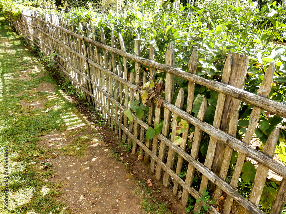 Rustic picket fence enclosing a vegetable garden